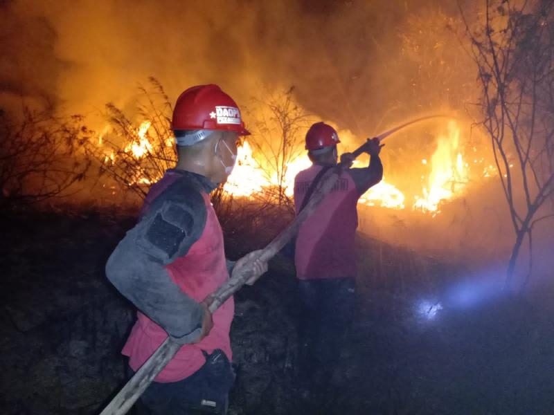 Bencana Kabut Asap Kembali Ancam Riau, 168 Ha Lahan Terbakar