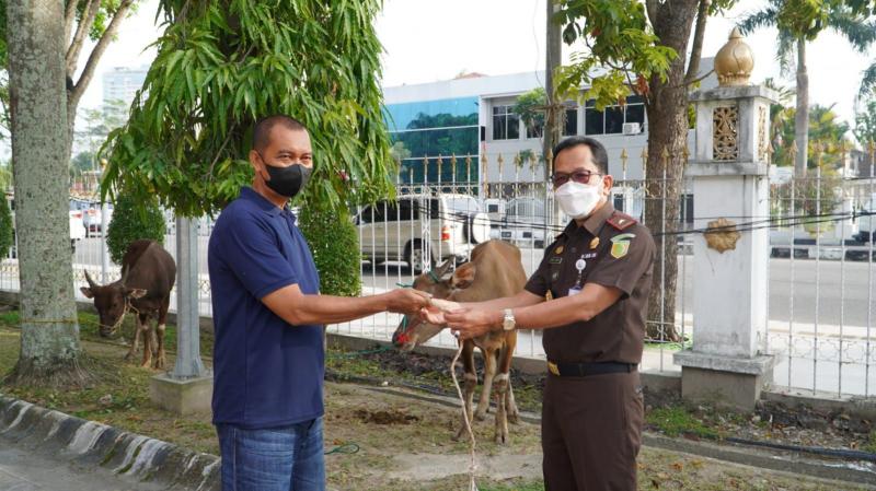 Peringati Idul Adha, Kejati Riau Kurban 6 Ekor Sapi