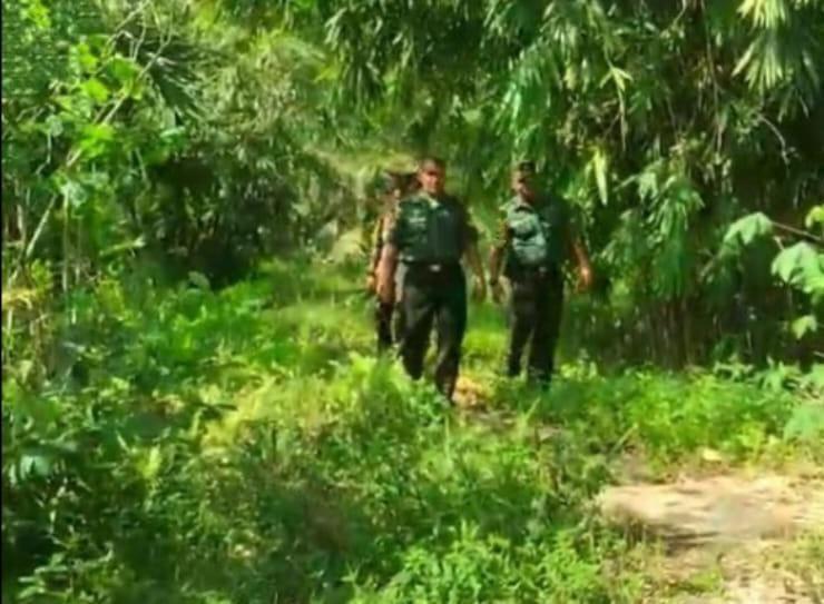 Cegah Karhutla Babinsa Intensifkan Patroli di Wilayah Binaan