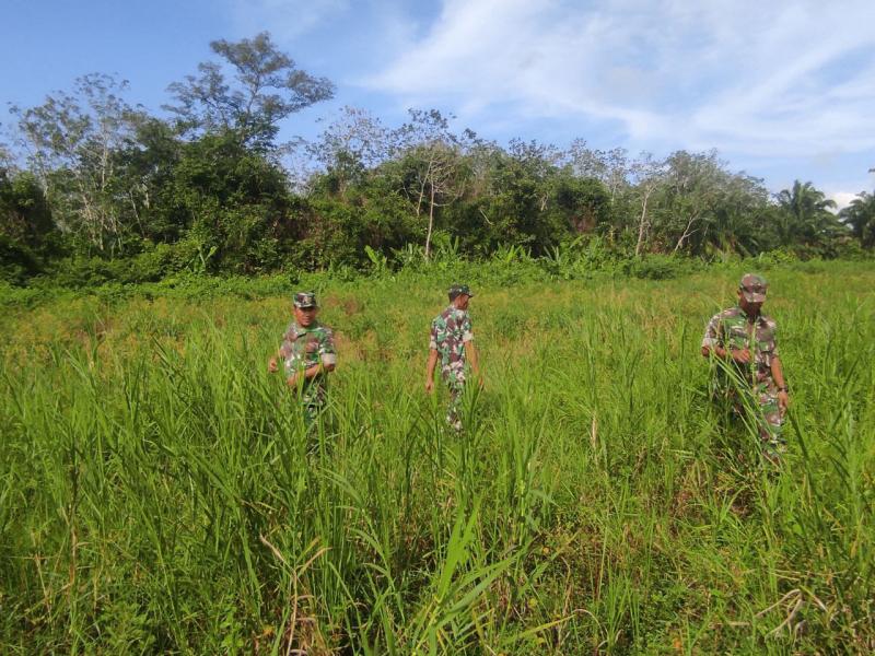 Kembali, Babinsa Koramil 0321-01/Bangko Sosialisasi dan Patroli Karlahut Cegah Kebakaran Hutan dan L