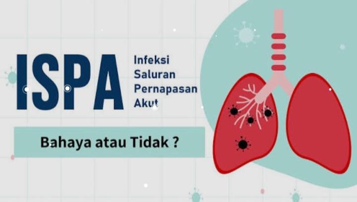 Dampak Kabut Asap, 4.987 Warga Pekanbaru Terpapar ISPA