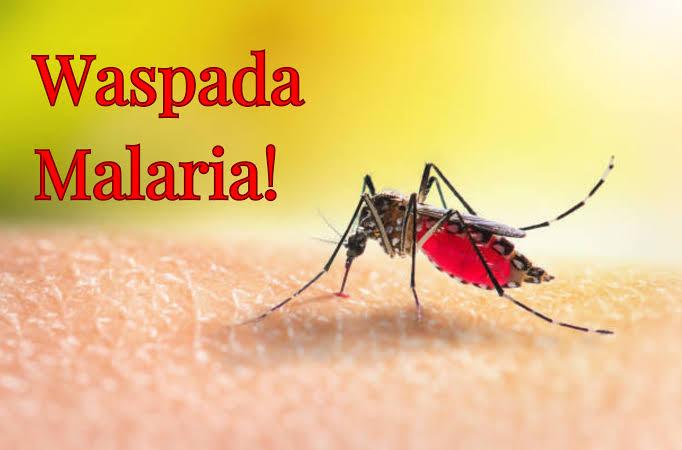 Waspada Peralihan Cuaca, Kasus DBD di Pekanbaru Meningkat hingga 745 Kasus