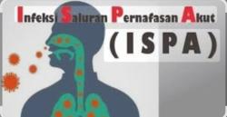 Dampak Kabut Asap, 3.028 Warga Pekanbaru Terpapar ISPA
